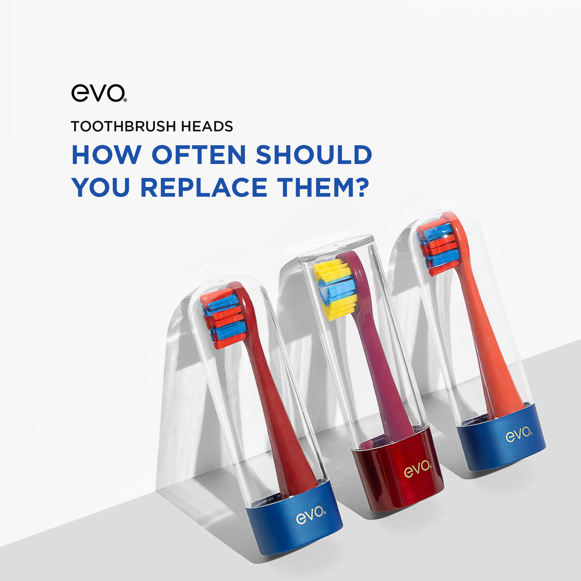 Toothbrush Replacement Heads Everything You Need to Know EVO