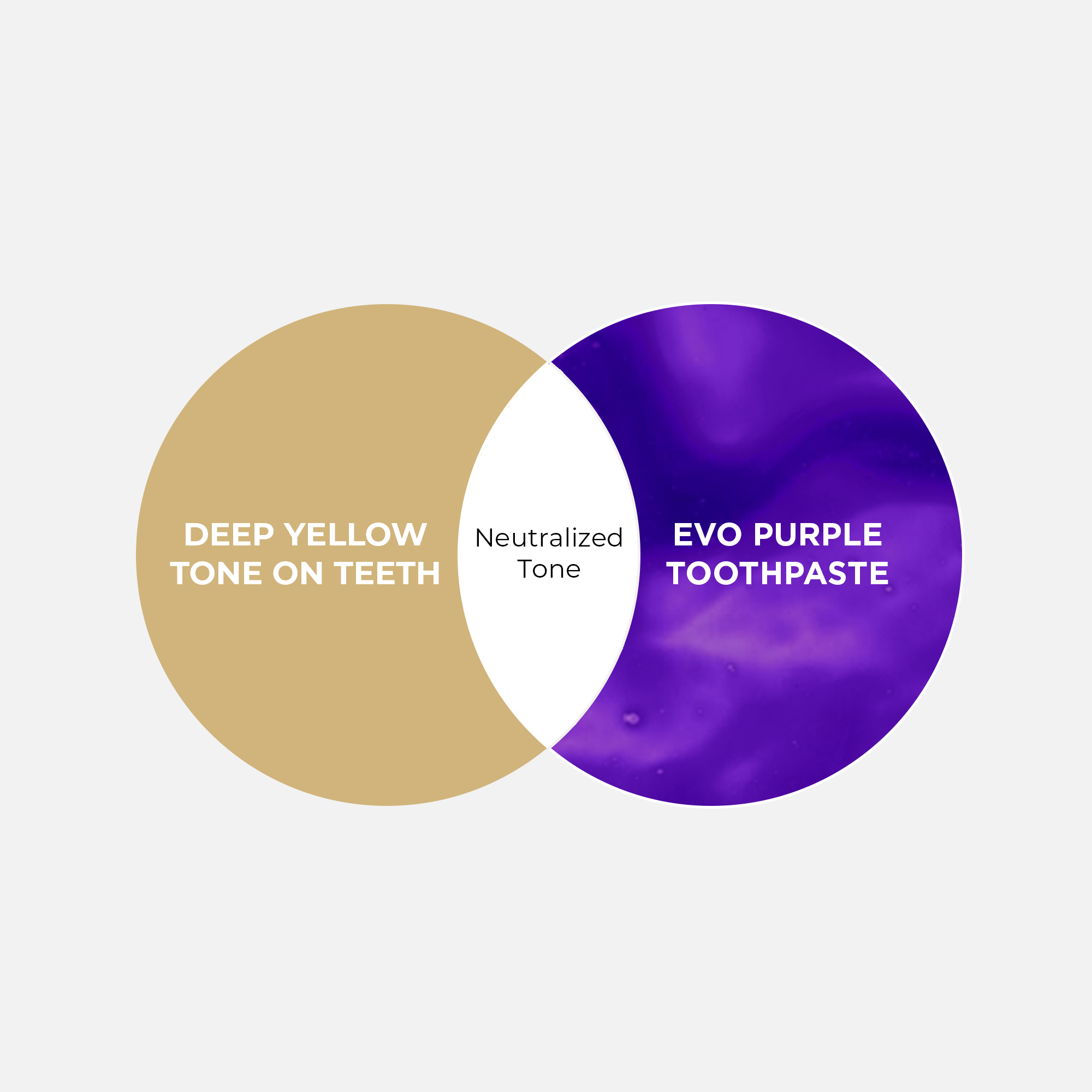 Purple Toothpaste – EVO